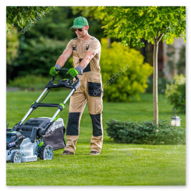 Rasenpflege und Heckenschnitt