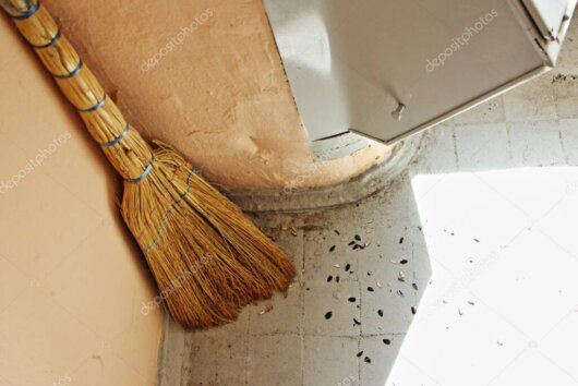 Reinigung von Außenbereich und Treppenhaus